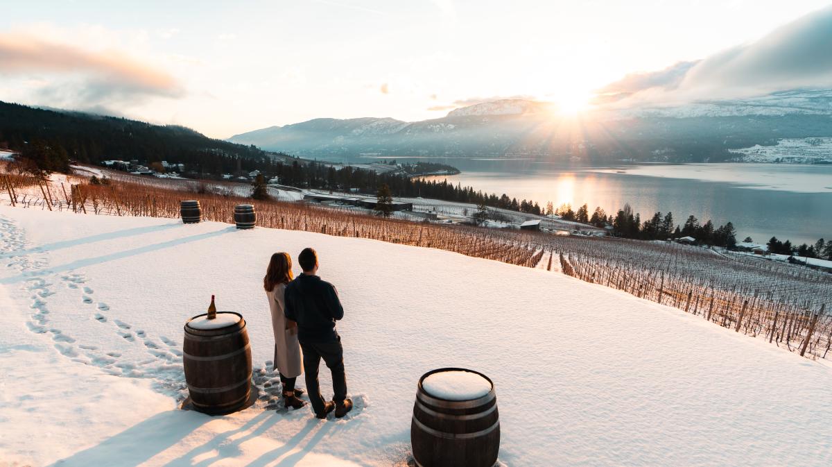 50th Parallel Winery in Winter