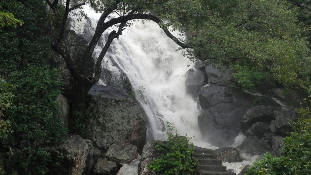 olakkai-aruvi-falls-kanyakumari